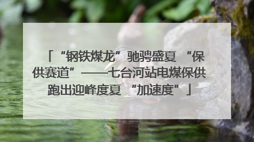 “钢铁煤龙”驰骋盛夏 “保供赛道”——七台河站电煤保供跑出迎峰度夏 “加速度”