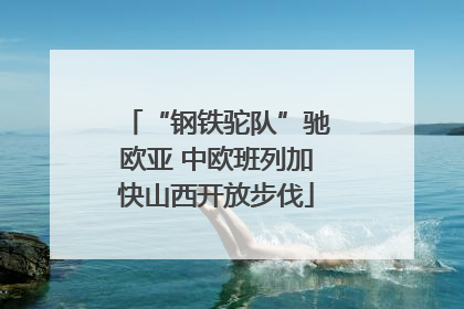 “钢铁驼队”驰欧亚 中欧班列加快山西开放步伐