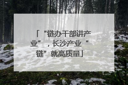 “链办干部讲产业”，长沙产业“链”就高质量