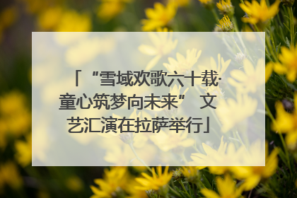“雪域欢歌六十载·童心筑梦向未来” 文艺汇演在拉萨举行
