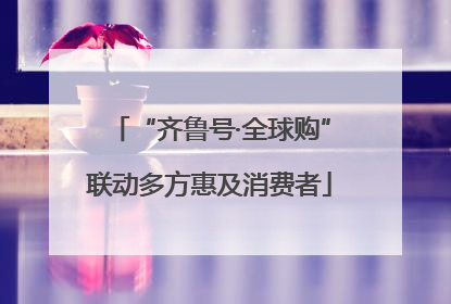 “齐鲁号·全球购”联动多方惠及消费者