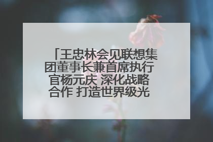 王忠林会见联想集团董事长兼首席执行官杨元庆 深化战略合作 打造世界级光电子信息产业集群