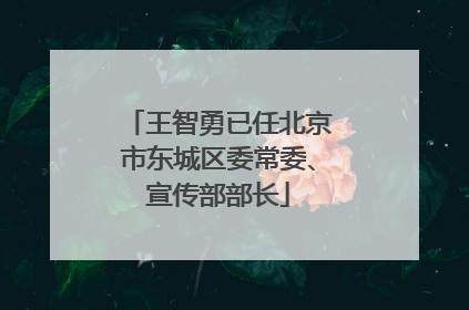 王智勇已任北京市东城区委常委、宣传部部长