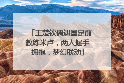 王楚钦偶遇国足前教练米卢，两人握手拥抱，梦幻联动