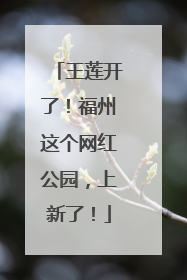王莲开了！福州这个网红公园，上新了！