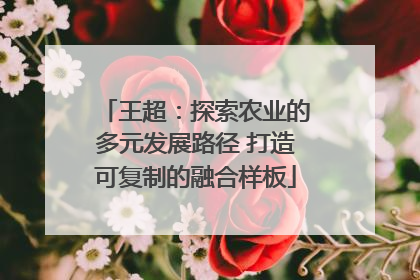 王超：探索农业的多元发展路径 打造可复制的融合样板
