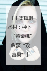王集镇响水村：种下“黄金桃” 收获“致富果”