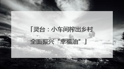 灵台：小车间榨出乡村全面振兴“幸福油”