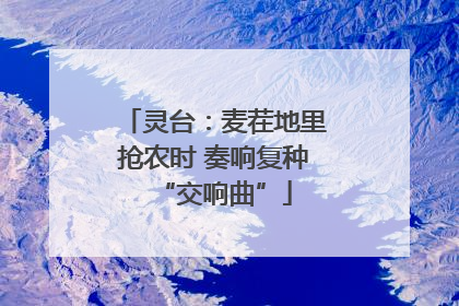 灵台：麦茬地里抢农时 奏响复种“交响曲”