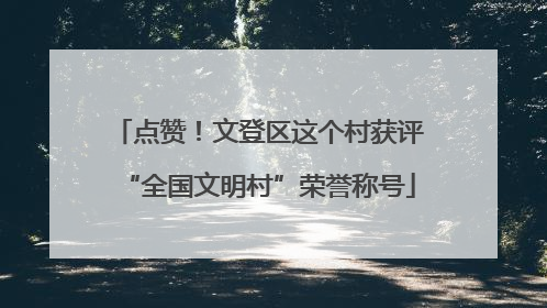 点赞！文登区这个村获评“全国文明村”荣誉称号