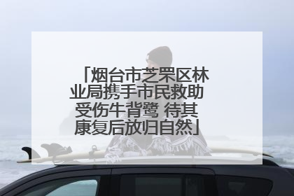 烟台市芝罘区林业局携手市民救助受伤牛背鹭 待其康复后放归自然