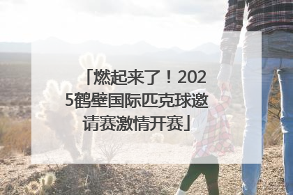 燃起来了！2025鹤壁国际匹克球邀请赛激情开赛