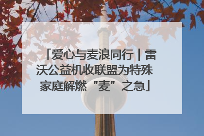 爱心与麦浪同行｜雷沃公益机收联盟为特殊家庭解燃“麦”之急