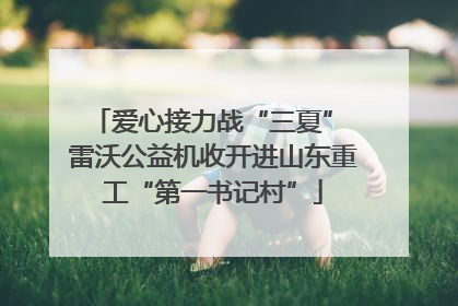 爱心接力战“三夏” 雷沃公益机收开进山东重工“第一书记村”