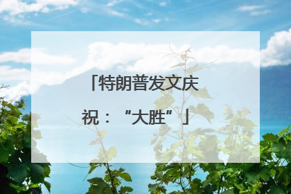 特朗普发文庆祝：“大胜”