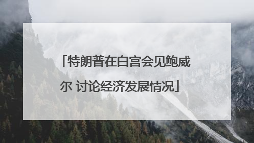特朗普在白宫会见鲍威尔 讨论经济发展情况