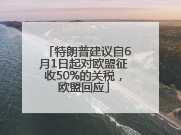 特朗普建议自6月1日起对欧盟征收50%的关税，欧盟回应