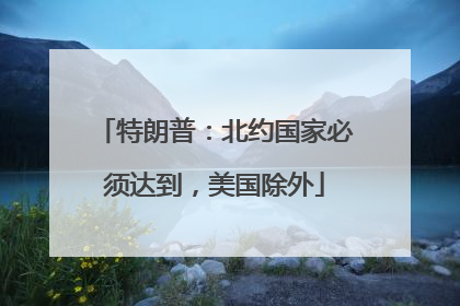 特朗普：北约国家必须达到，美国除外