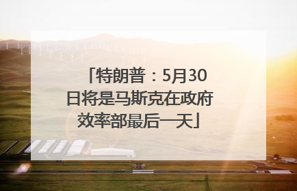 特朗普：5月30日将是马斯克在政府效率部最后一天
