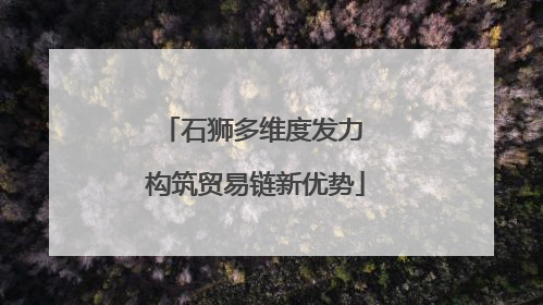 石狮多维度发力 构筑贸易链新优势