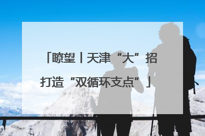 瞭望丨天津“大”招打造“双循环支点”
