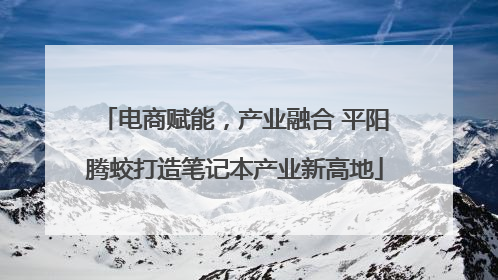电商赋能，产业融合 平阳腾蛟打造笔记本产业新高地