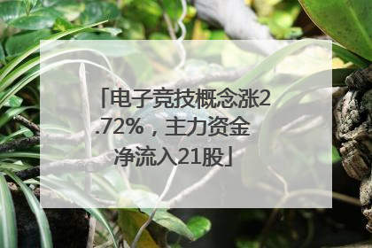 电子竞技概念涨2.72%，主力资金净流入21股