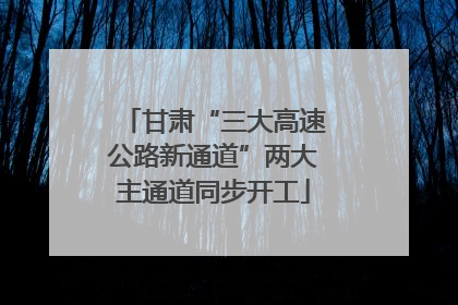 甘肃“三大高速公路新通道”两大主通道同步开工