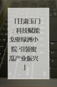甘肃玉门：科技赋能戈壁绿洲小院 引领蜜瓜产业振兴