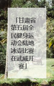 甘肃省第五届全民健身运动会陆地冰壶比赛在武威开赛