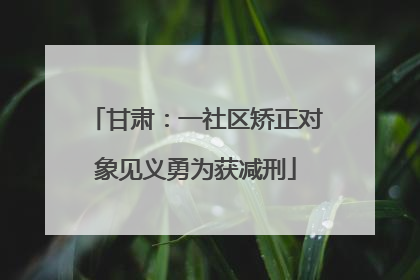 甘肃：一社区矫正对象见义勇为获减刑