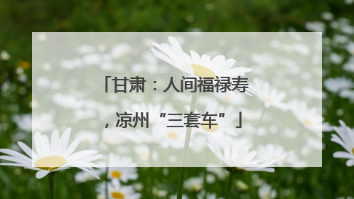甘肃：人间福禄寿，凉州“三套车”