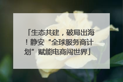 生态共建，破局出海！静安“全球服务商计划”赋能电商闯世界