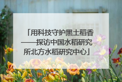 用科技守护黑土稻香——探访中国水稻研究所北方水稻研究中心