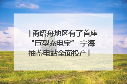 甬绍舟地区有了首座“巨型充电宝” 宁海抽蓄电站全面投产