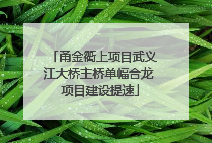 甬金衢上项目武义江大桥主桥单幅合龙 项目建设提速
