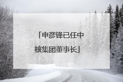 申彦锋已任中核集团董事长