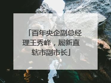 百年央企副总经理王秀峰，履新直辖市副市长