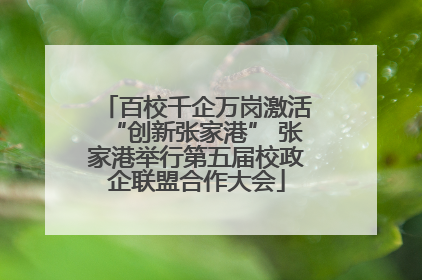 百校千企万岗激活“创新张家港” 张家港举行第五届校政企联盟合作大会