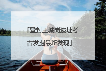 登封王城岗遗址考古发掘最新发现