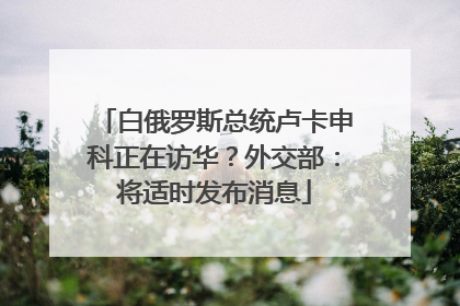 白俄罗斯总统卢卡申科正在访华？外交部：将适时发布消息