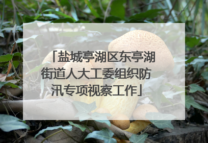 盐城亭湖区东亭湖街道人大工委组织防汛专项视察工作