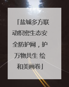 盐城多方联动织密生态安全防护网，护万物共生 绘和美画卷