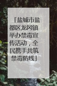 盐城市盐都区龙冈镇举办禁毒宣传活动，全民携手共筑禁毒防线