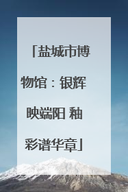 盐城市博物馆：银辉映端阳 釉彩谱华章