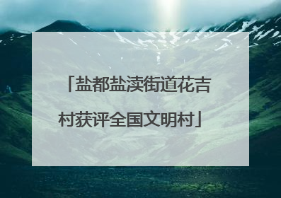 盐都盐渎街道花吉村获评全国文明村