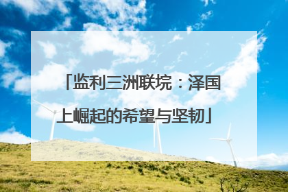 监利三洲联垸:泽国上崛起的希望与坚韧
