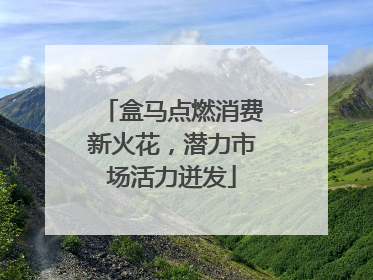 盒马点燃消费新火花，潜力市场活力迸发
