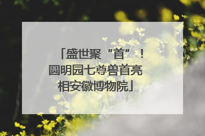 盛世聚“首”！圆明园七尊兽首亮相安徽博物院