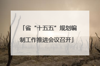 省“十五五”规划编制工作推进会议召开